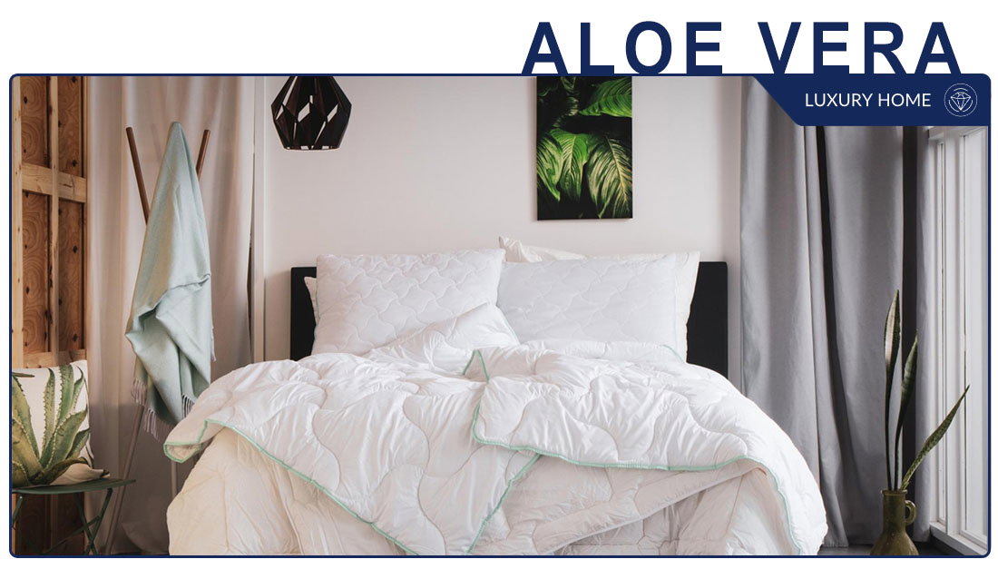 Polštář Aloe vera 50 x 60 cm
