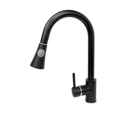 Kuchyňská baterie se sprchou TARU černá