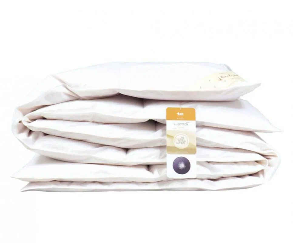 Přikrývka Basic husí peří 70% 200 x 220 cm