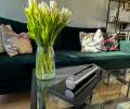 Volně stojící BIOKRB STAINLESS černý