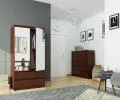Šatní skříň s otočnými dveřmi a zrcadlem 90 cm wenge