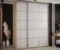 Šatní skříň s posuvnými dveřmi DAVOS 4, 200cm | DUB Artisan / bílá / stříbrné