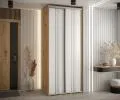 Šatní skříň s posuvnými dveřmi DAVOS 6, 120cm | DUB Artisan / bílá / stříbrné