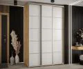 Šatní skříň s posuvnými dveřmi DAVOS 4, 160x235x45 cm DUB Artisan / bílá / stříbrné