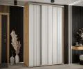 Šatní skříň s posuvnými dveřmi DAVOS 6, 160x235x45 cm DUB Artisan / bílá / stříbrné